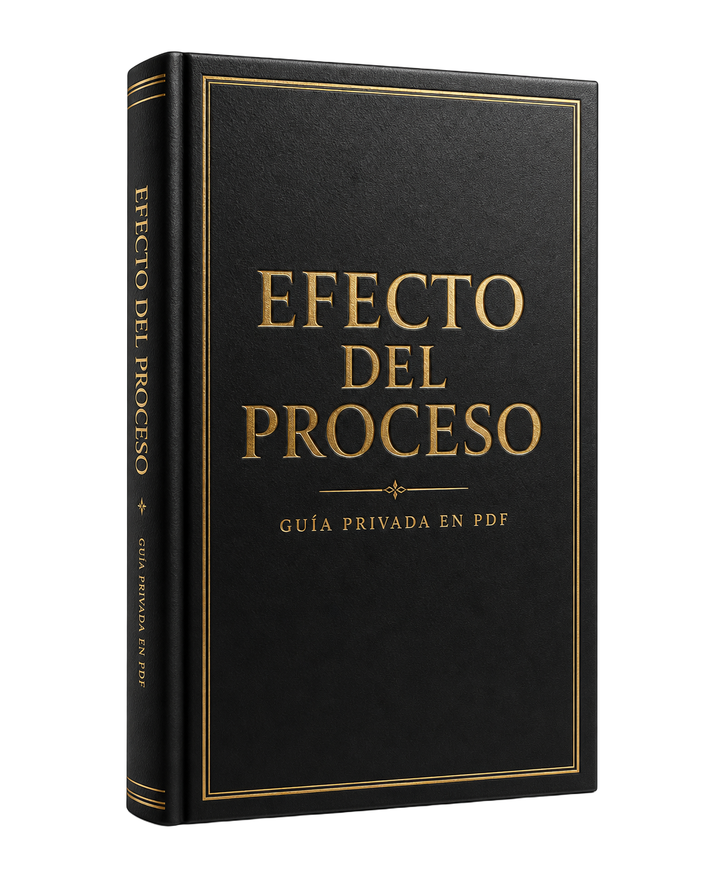 Mockup 3D del PDF Efecto del Proceso en edición de lujo